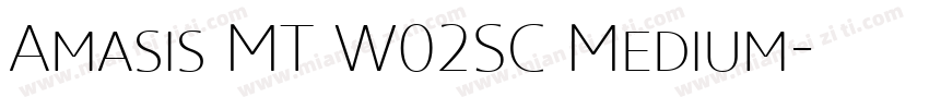 Amasis MT W02SC Medium字体转换